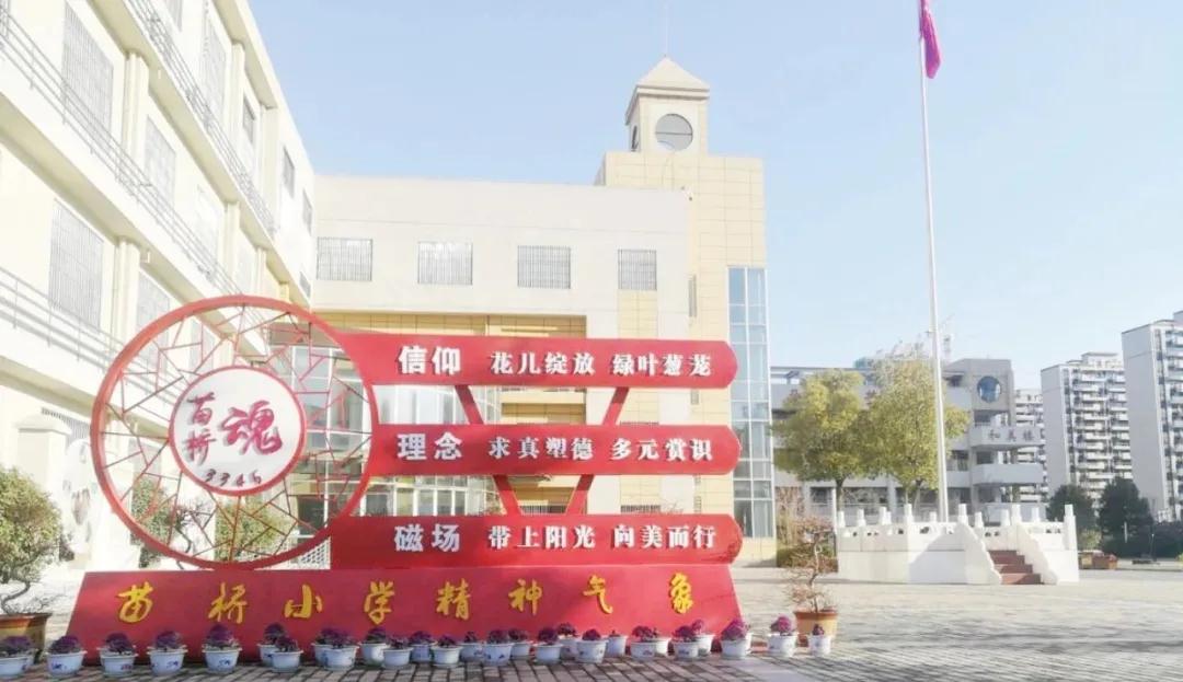 安徽省教育厅厅长赵振华到苗桥小学调研
