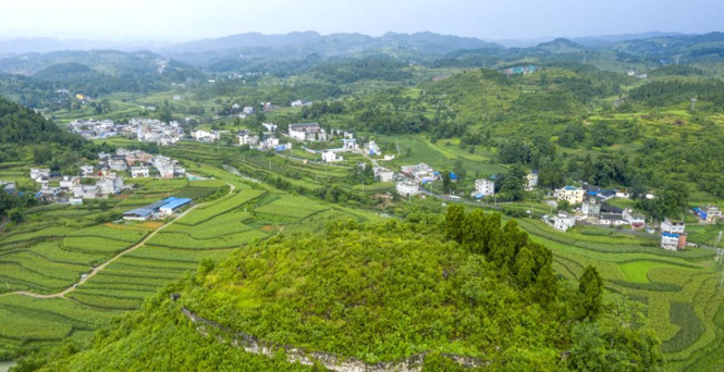 酒韵飘香     醉美源村