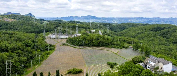 毕节市艺术摄影协会开展 “喜迎建党100周年主题创作”采风活动——生机盎然的安洛
