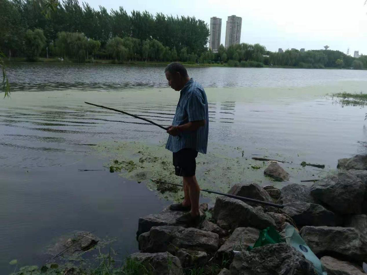  退休的老陈