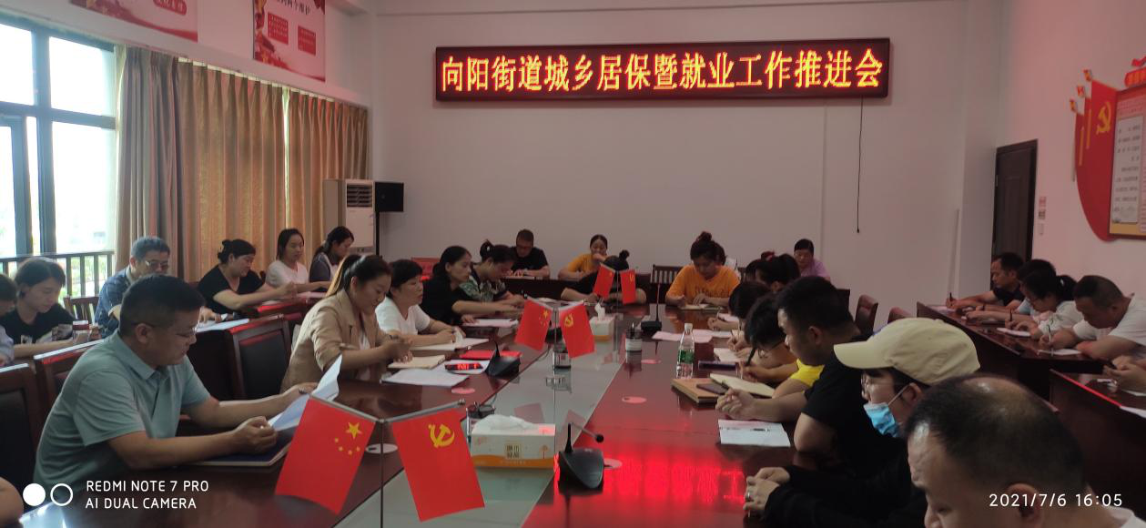 安徽：颍东区向阳街道城乡居保暨就业工作推进会
