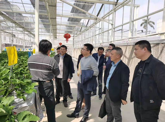 何超率团赴福建省南平市圣农集团等地招商考察