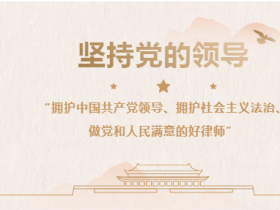 安徽弘大律师事务所开展“两拥一做“主题学习推进会