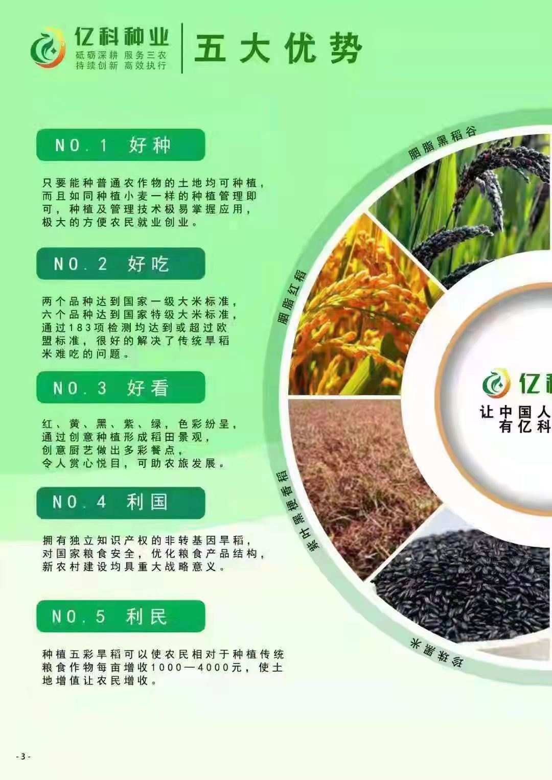 好消息：安徽首丰生物科技有限公司推出一款超吨王