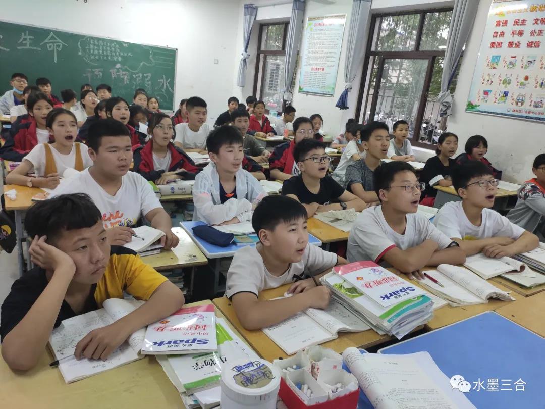 不要当趴在窗户上的苍蝇