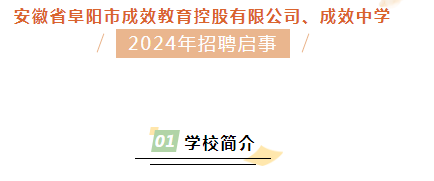 安徽省阜阳市成效教育控股有限公司、成效中学2024年招聘启事