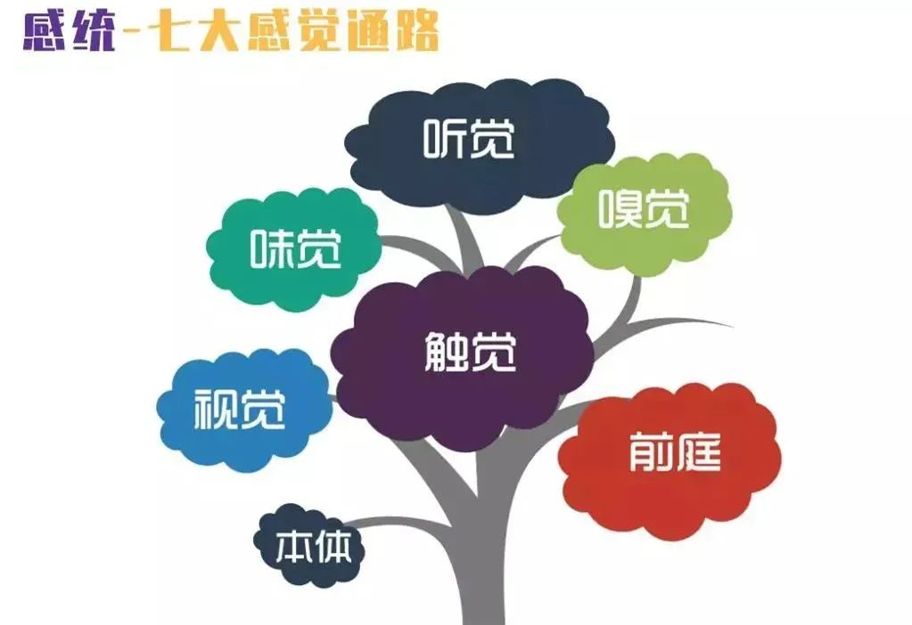 阜阳市妇女儿童医院儿童早期发展中心寒假特训班开课啦！