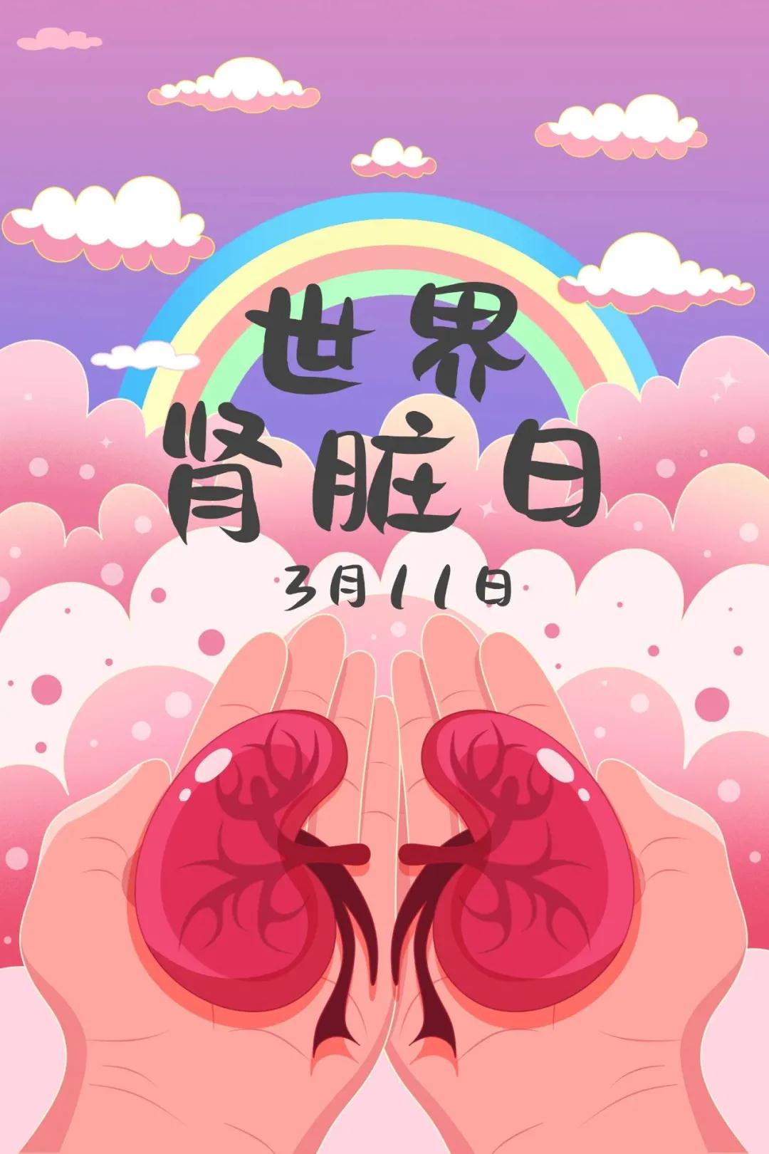 世界肾脏日丨肾好，甚好！你懂你的肾吗？