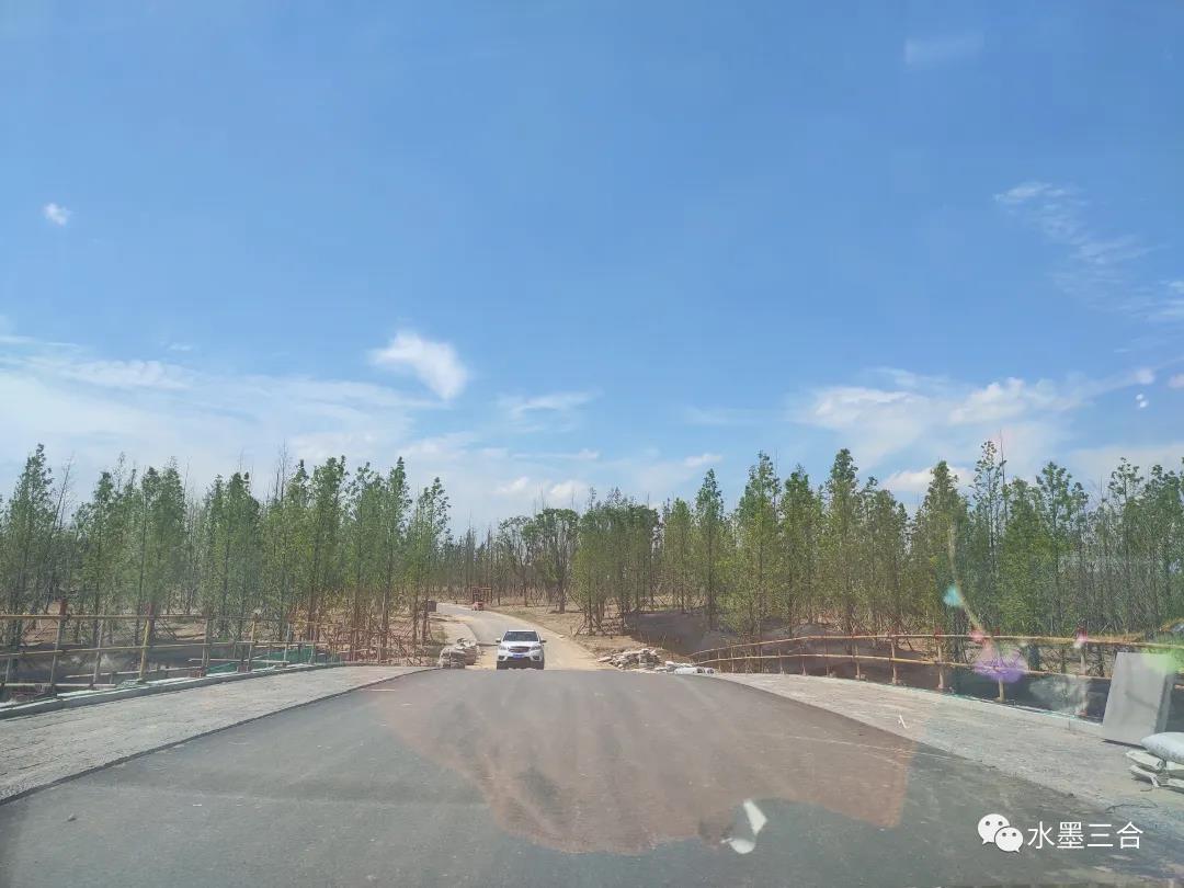 满载希望的跳板