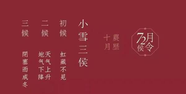 花雪随风不厌看，又是一年小雪时~~