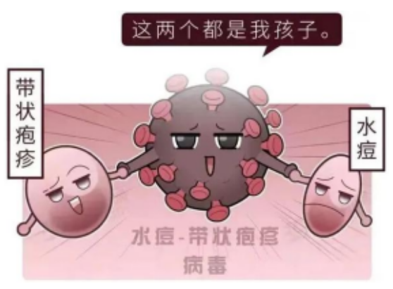 科普时间：带状疱疹发病率高，积极防治少不了！