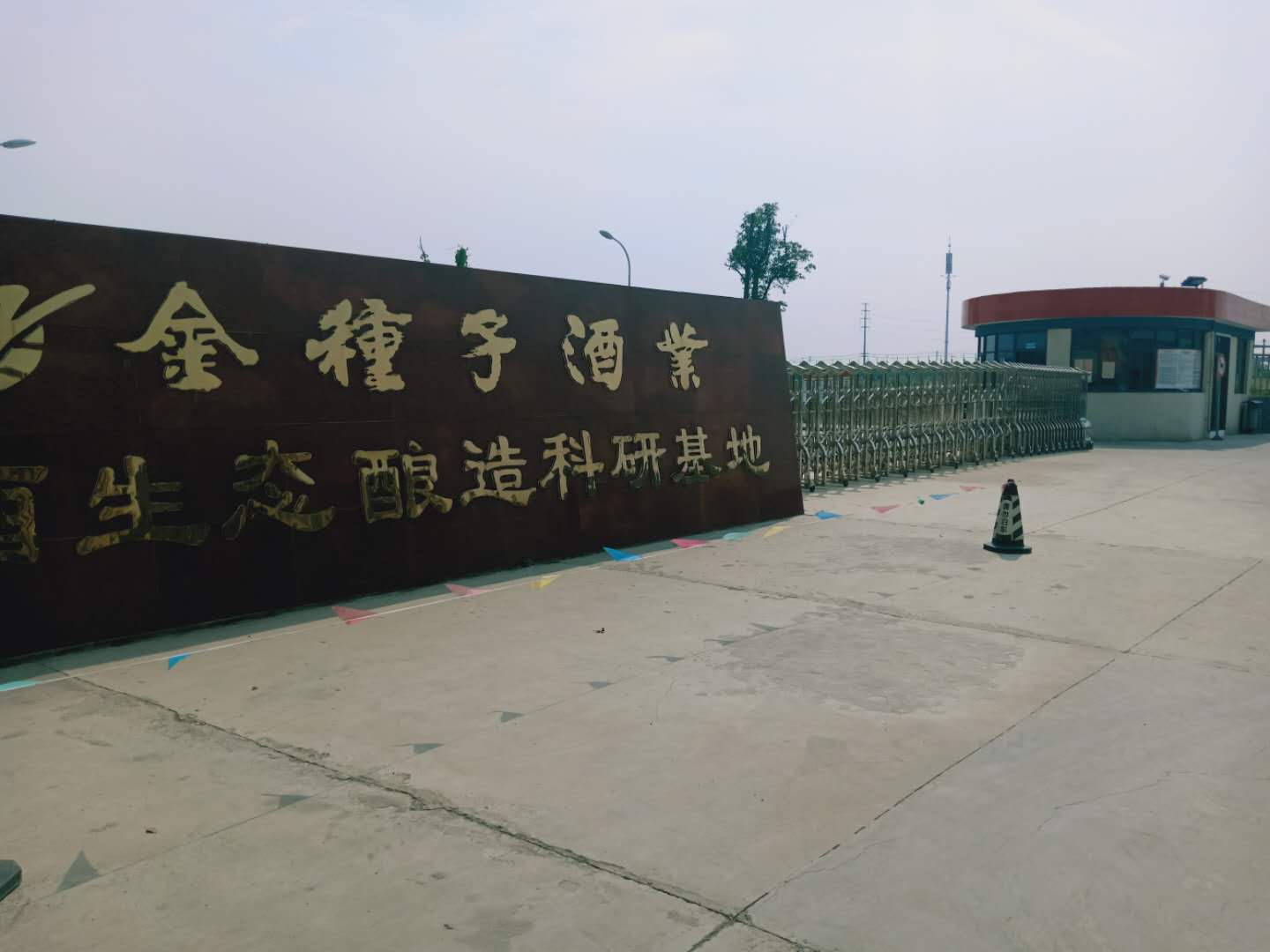  安徽省阜阳市颍州区作家协会到安徽金种子集团公司采风和授牌