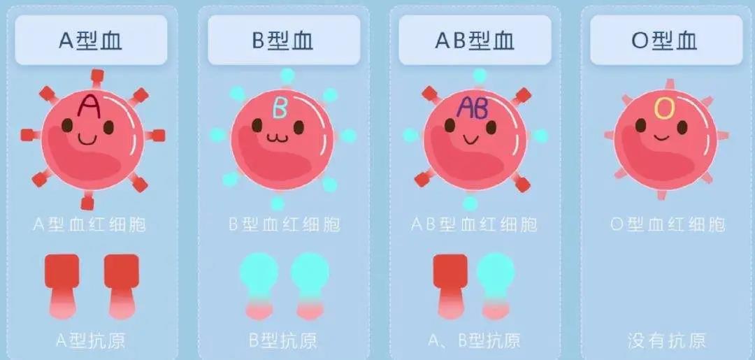 每周/科普~关于新生儿溶血病《一》