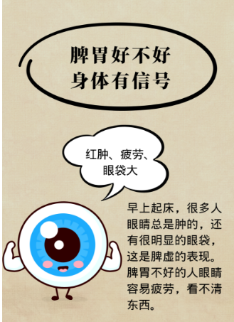 安徽省中医药宣传周 | 秋季养生，护好脾胃，气血充足，百病不生！