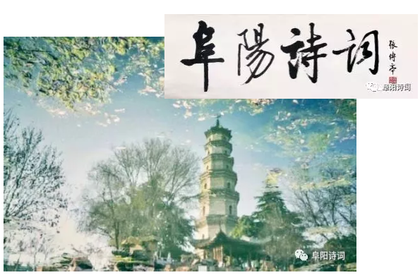 安徽阜阳市诗词学会到凤台四中参观学习诗教工作
