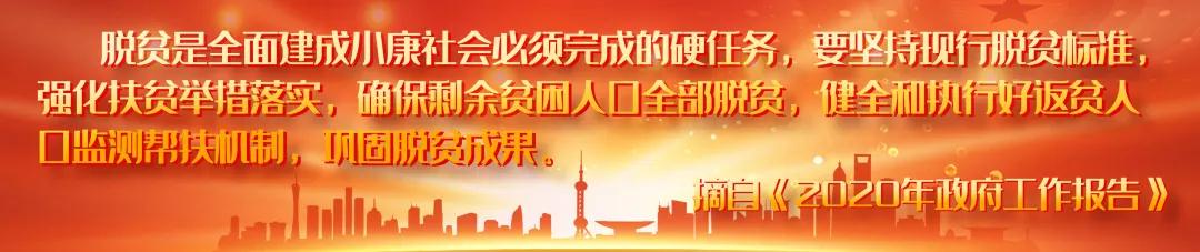 聚焦精准扶贫，两赴扶贫村调研