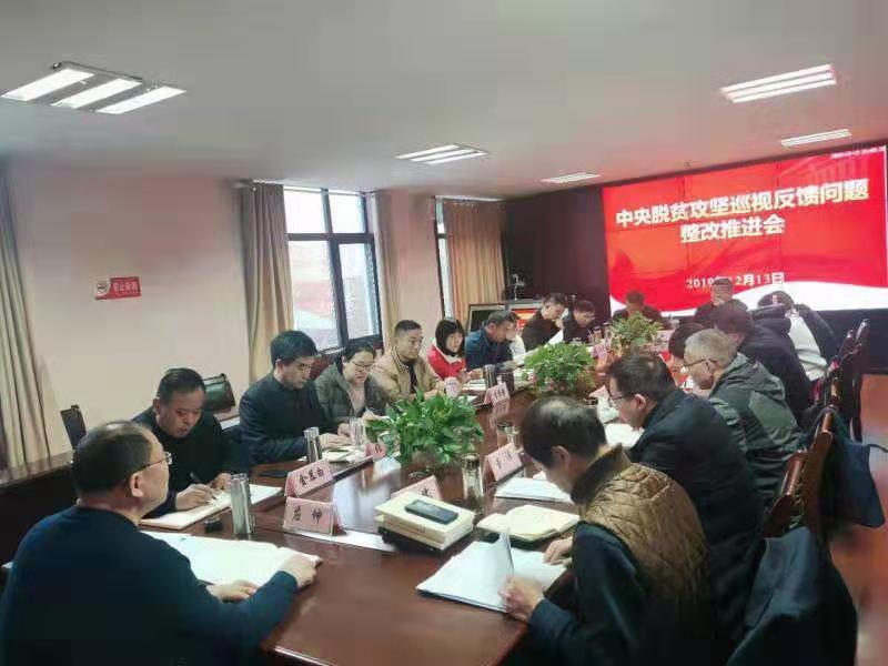 安徽颍州区王店镇召开中央脱贫攻坚巡视反馈问题整改推进会