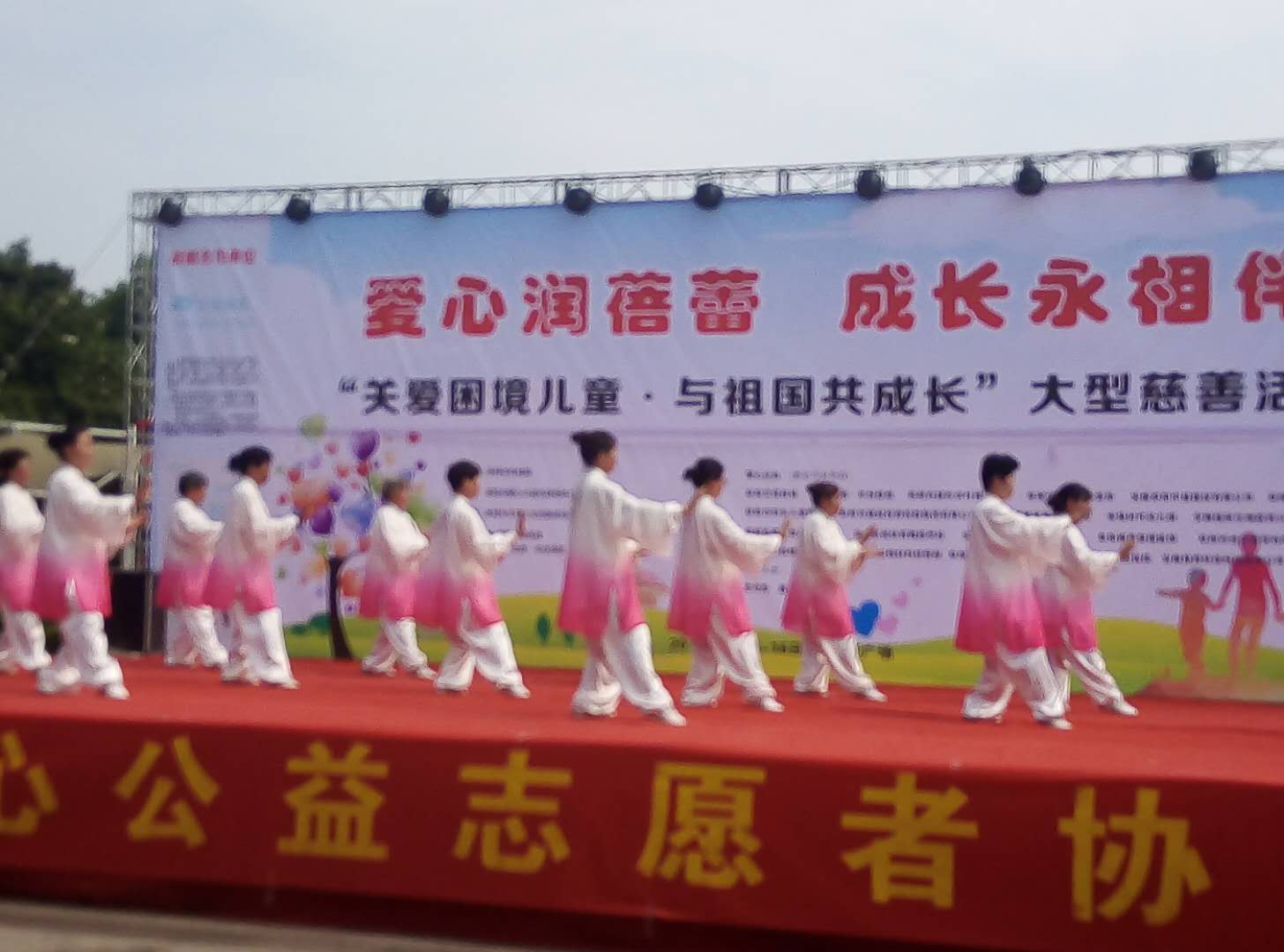 阜阳市爱心公益志愿者协会举行“关爱困境儿童大型义演义卖慈善活动”