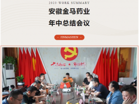 热烈祝贺安徽金马2023各部门上半年总结及下半年工作部署会议圆满完成！