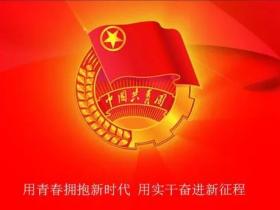 热烈庆祝共青团阜阳市大田中学第五次代表大会顺利召开