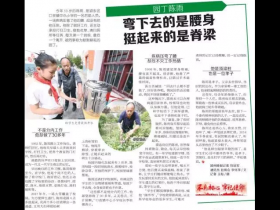 好园丁陈雨：弯下去的是腰身 挺起来的是脊梁
