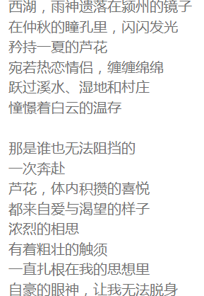 程阳辉：又见芦花（诗歌）