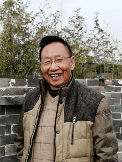 金文正抗疫诗词