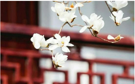 程阳辉：用爱点燃工作激情（随笔）
