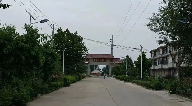 安徽金马药业积极响应颍东区百企兴百村计划对大桥村进行帮扶活动