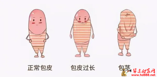 微信图片_20240730074051.png
