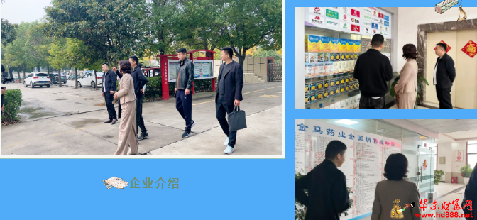 阜阳市文化旅游体育局局长纪兰芳一行到金马药业调研