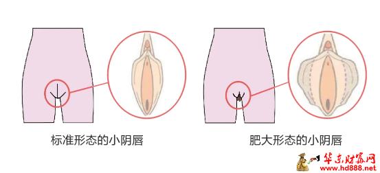 微信图片_20241124192228.png