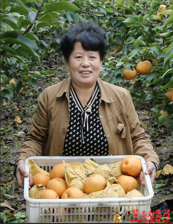 微信图片_20241125172405.png