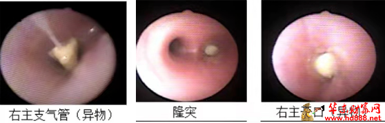 微信图片_20241219130234.png