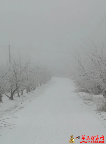 三月，村庄刚刚下起了雪（外一首）