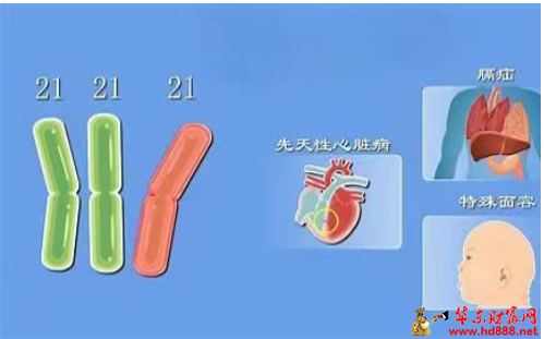 微信图片_20250321100805.png