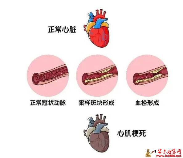 微信图片_20250329185525.png
