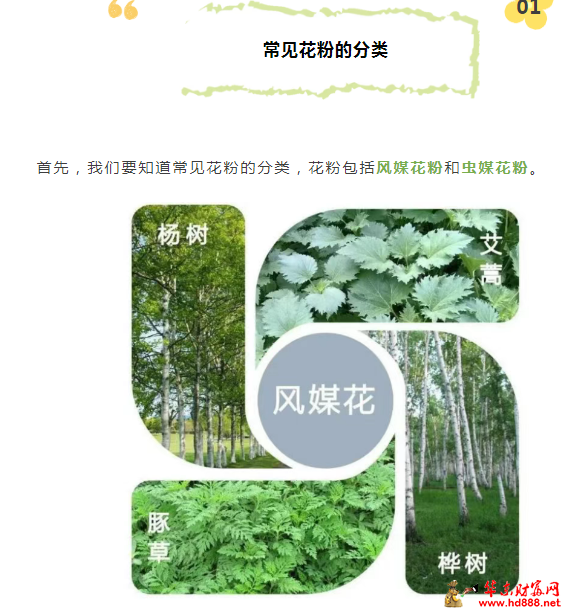 微信图片_20250330131746.png