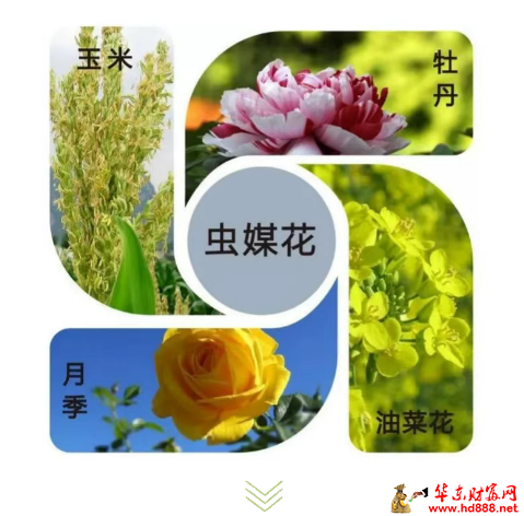 微信图片_20250330131749.png