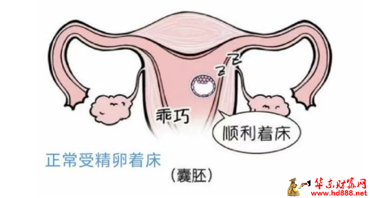 受精卵“迷路”了怎么办？