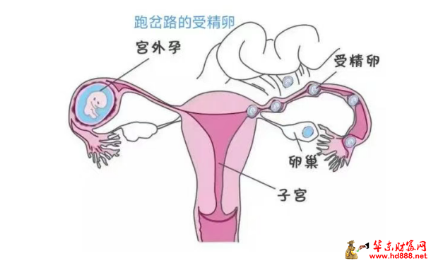 微信图片_20250418112909.png