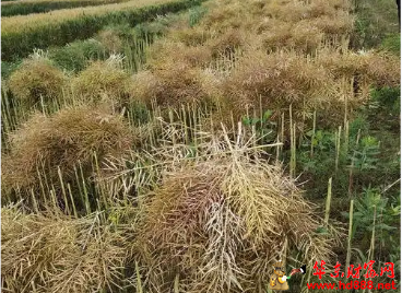 微信图片_20250512104742.png