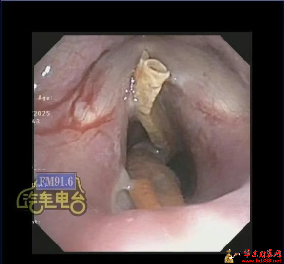 微信图片_20250530072006.png