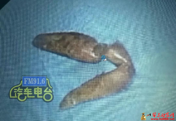 微信图片_20250530072010.png