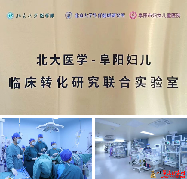 微信图片_20250615152203.png