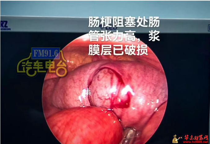 微信图片_20250709160540.png