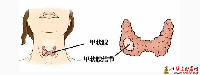 微信图片_2025-07-12_161723_127.png