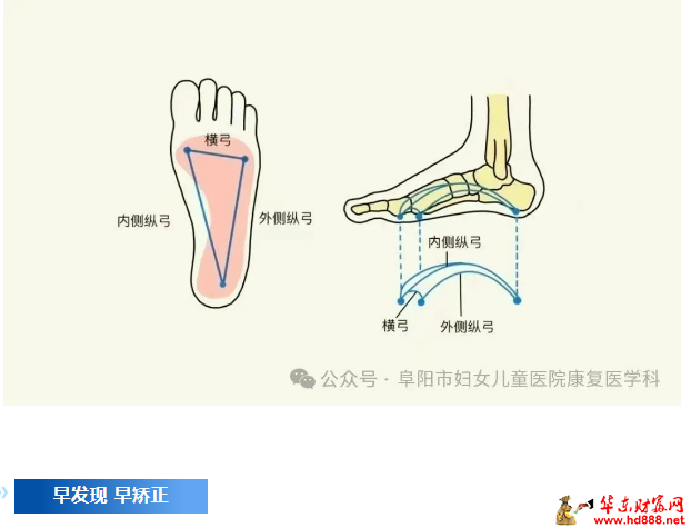微信图片_2025-07-23_095608_432.png