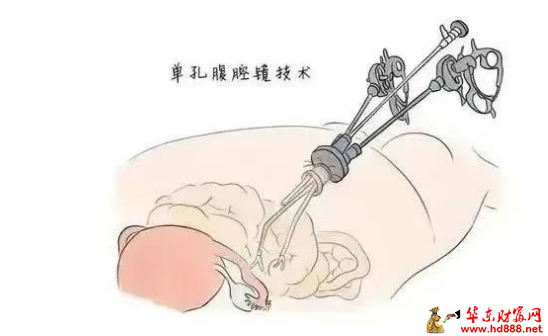 微信图片_20250727153213_256.png
