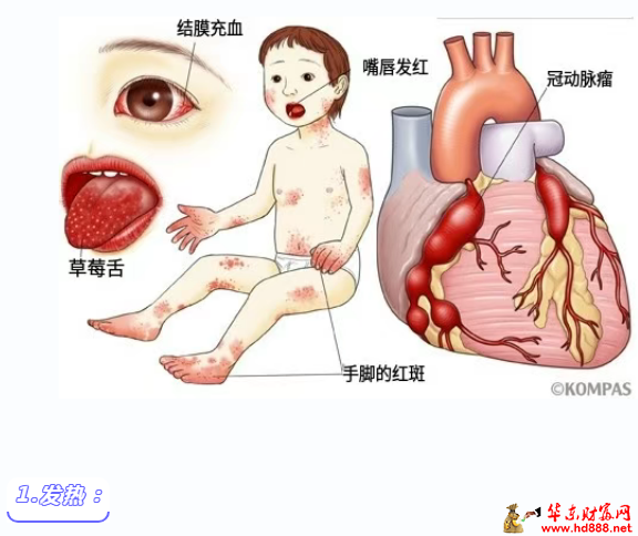 微信图片_2025-08-01_172840_329.png